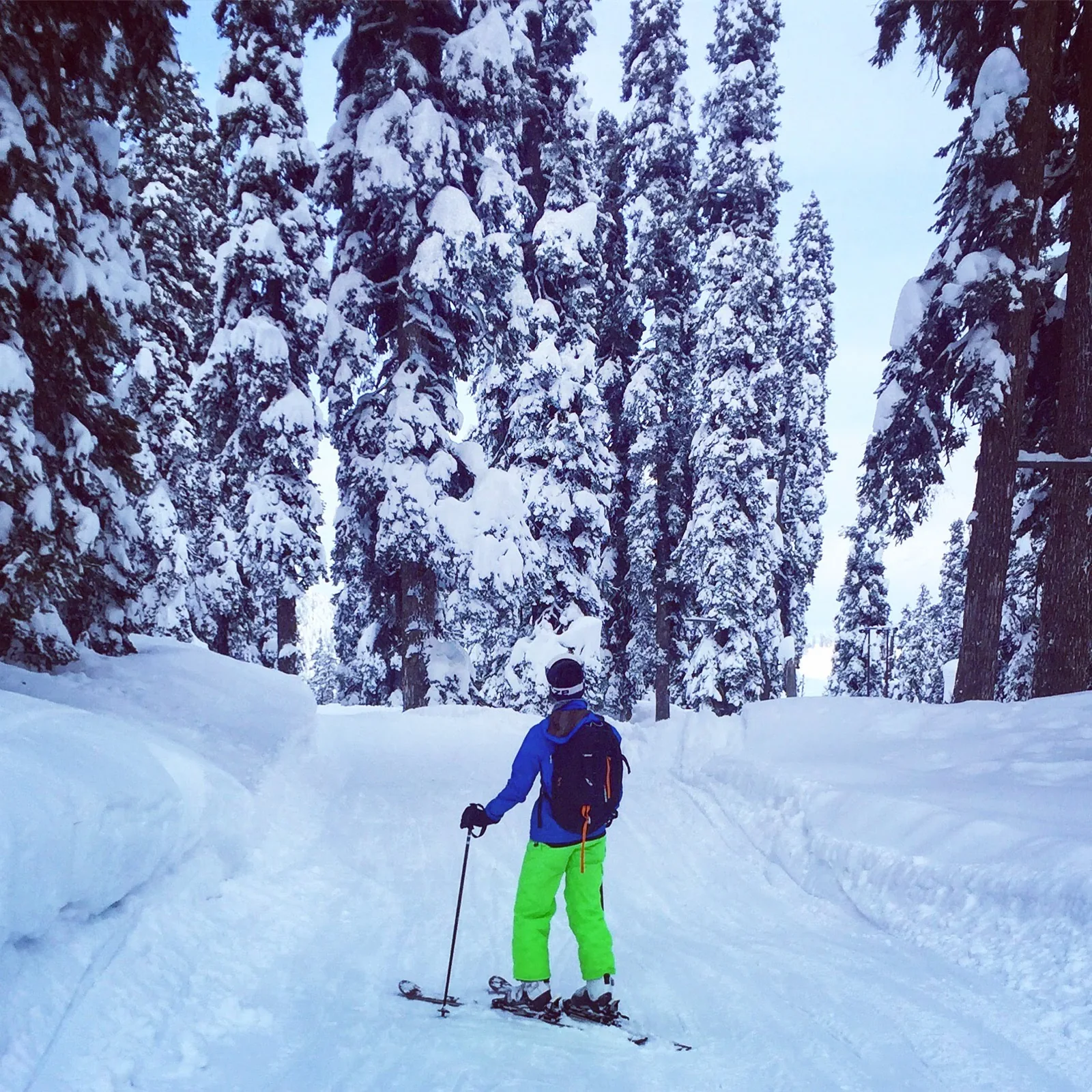 A single skier on a set track cut through deep snow, heavily laden conifers standing close on both sides.