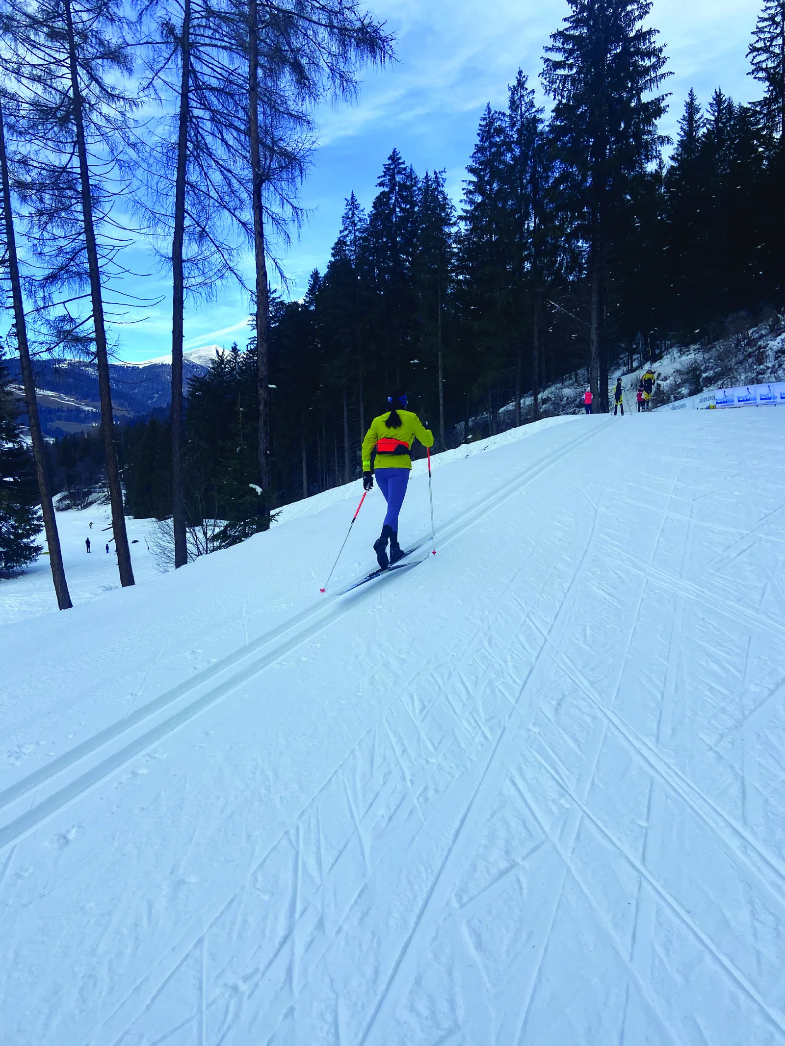A pair of machine-cut classic ski tracks running away through snow between pine trees, a single skier small in the distance.